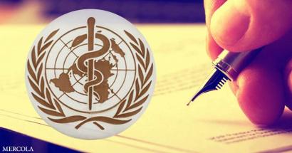 Threat To National Sovereignty Set To Go Down May 22-28, 2022 At Who World Health Assembly 1335f2a343db1cd1