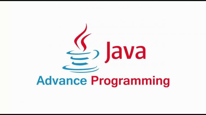 Best institute in Noida for Advance Java Developer Training