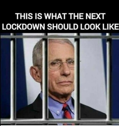IT’S HAPPENING: House Intelligence Committee Calls for the Arrest of Dr. Fauci 775382c4cc0065c6