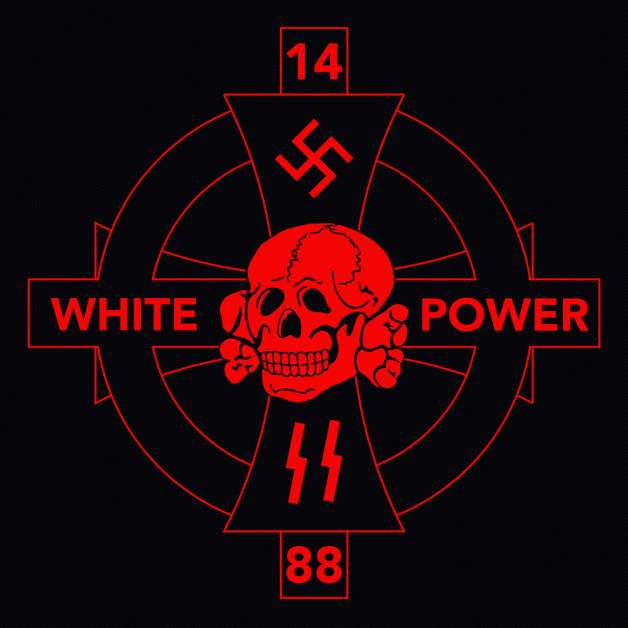 Бел 1488. White Power. White Power знак. Белая сила. Нашивка White Power.